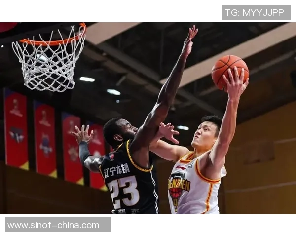 周鹏：从篮球场上的拼搏者到社会公益的践行者的华丽转身